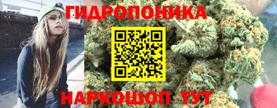 стаф Владивосток