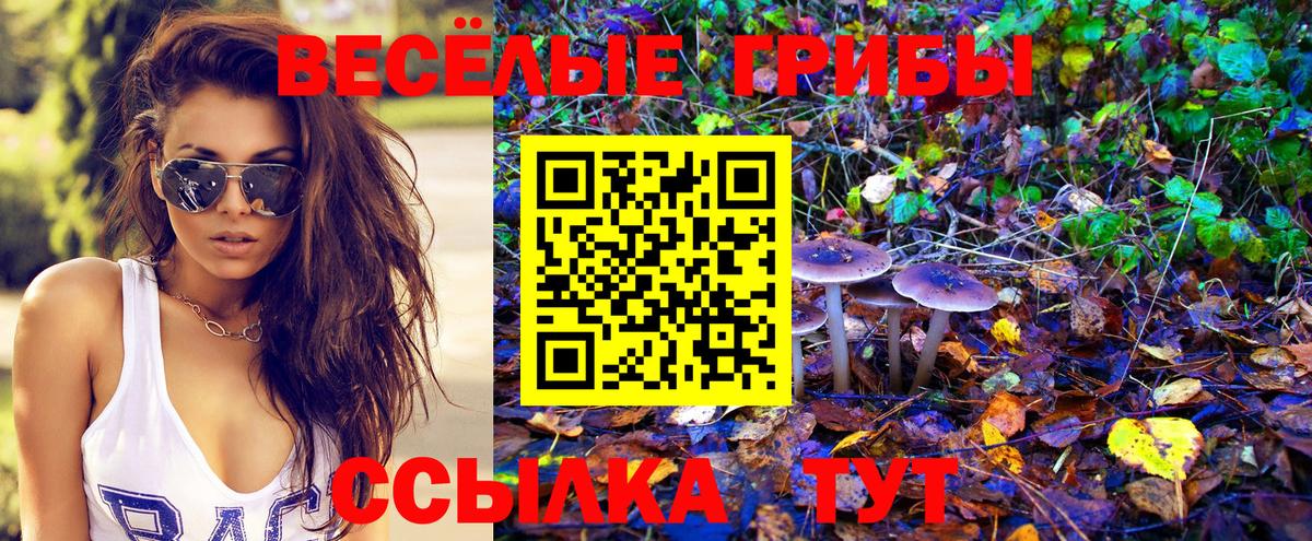 Королёв  Галлюциногенные грибы Psilocybine cubensis  Псилоцибиновые грибы мицелий  Вход с VPN 